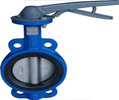 butterfly-valve-100